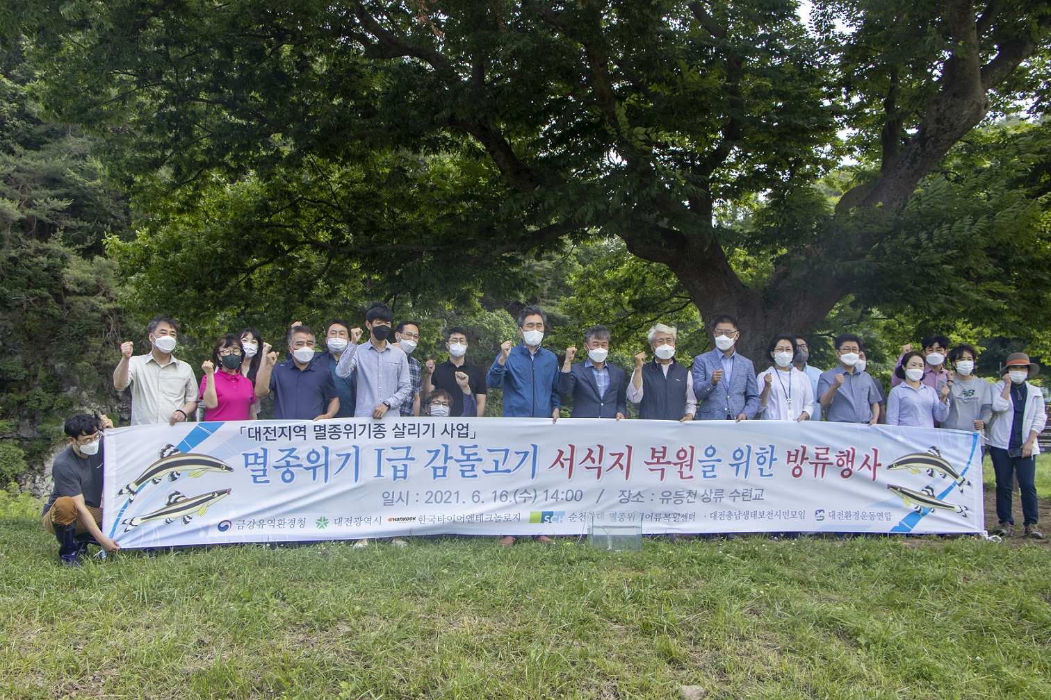 한국타이어대전유등천멸종위기종감돌고기방류행사2